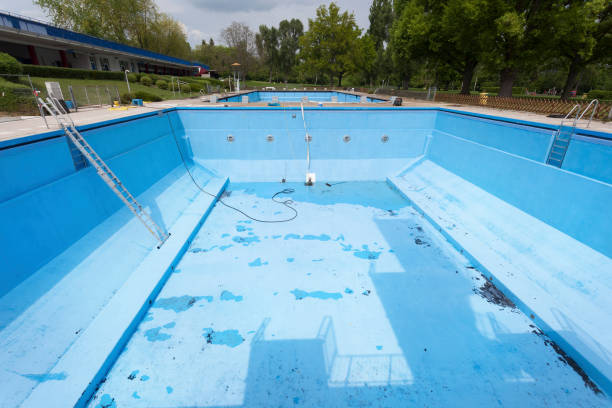 Best Professional water damage repair  in Amboy, IL