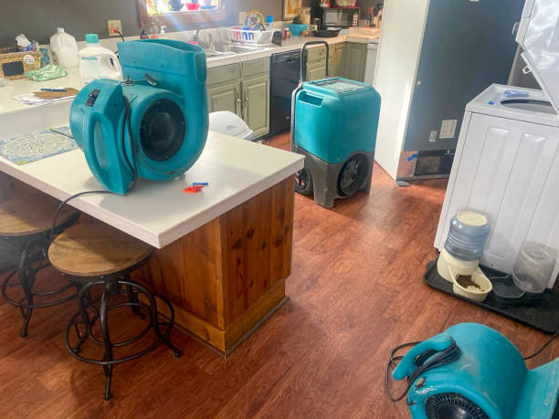 Best Basement water damage restoration  in Amboy, IL