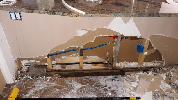 Best Commercial water damage restoration  in Amboy, IL