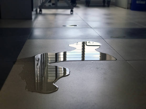 Best Water damage contractors near me  in Amboy, IL