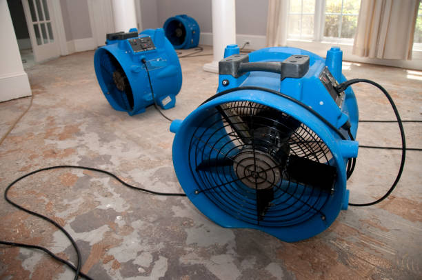 Best Sewage cleanup and water damage restoration  in Amboy, IL
