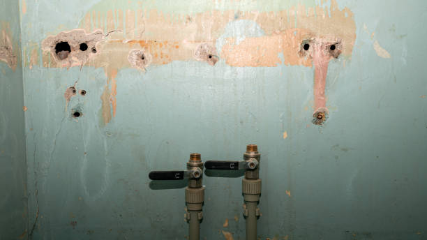 Best Commercial water damage restoration  in Amboy, IL