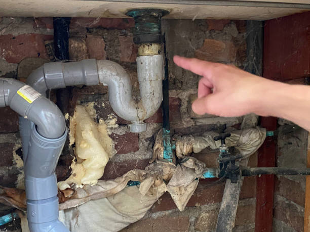 Best Flood restoration services  in Amboy, IL